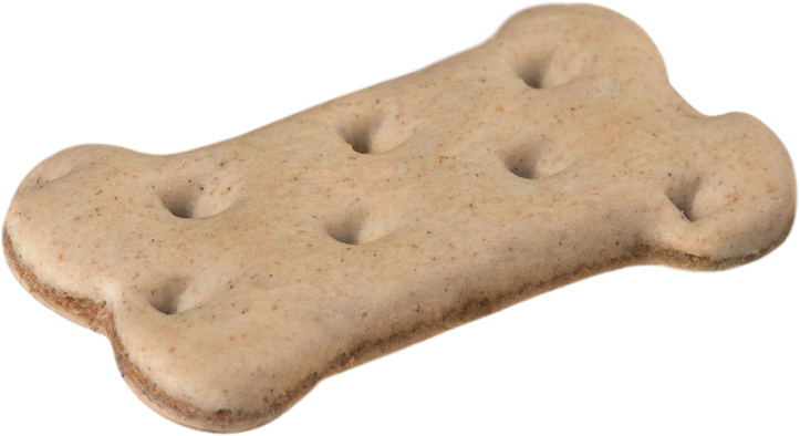 Dog Bone Biscuit Treat